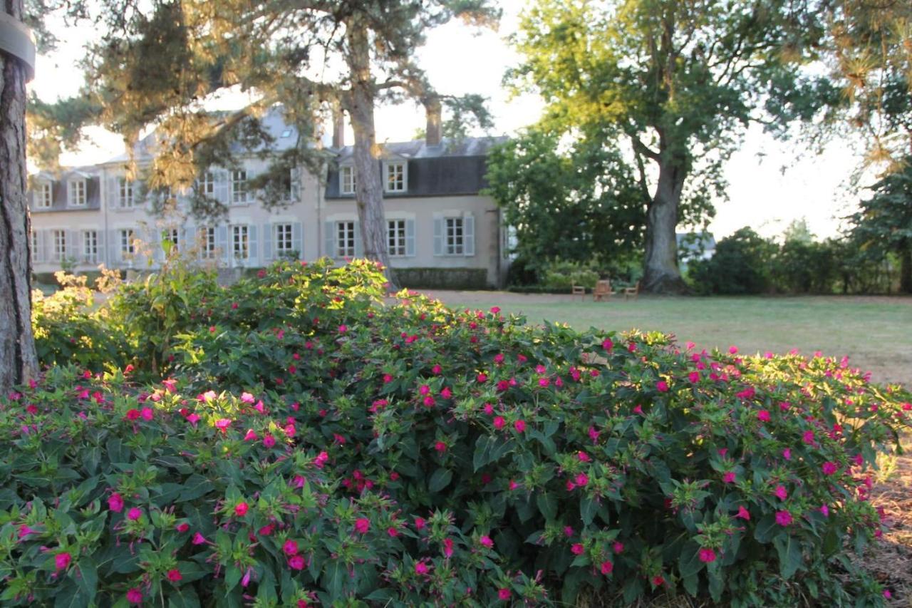Bed and Breakfast Colivault Candé-sur-Beuvron Esterno foto